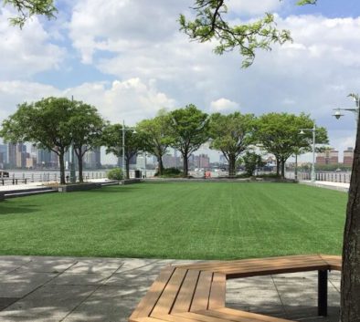 pier 46 lawn