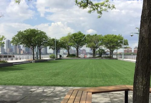 pier 46 lawn
