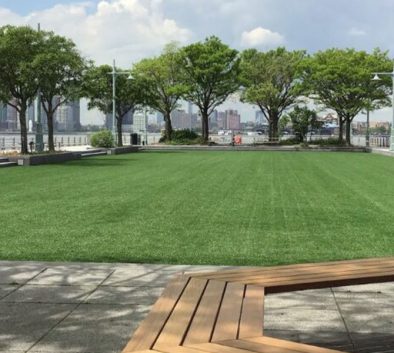 pier 46 lawn