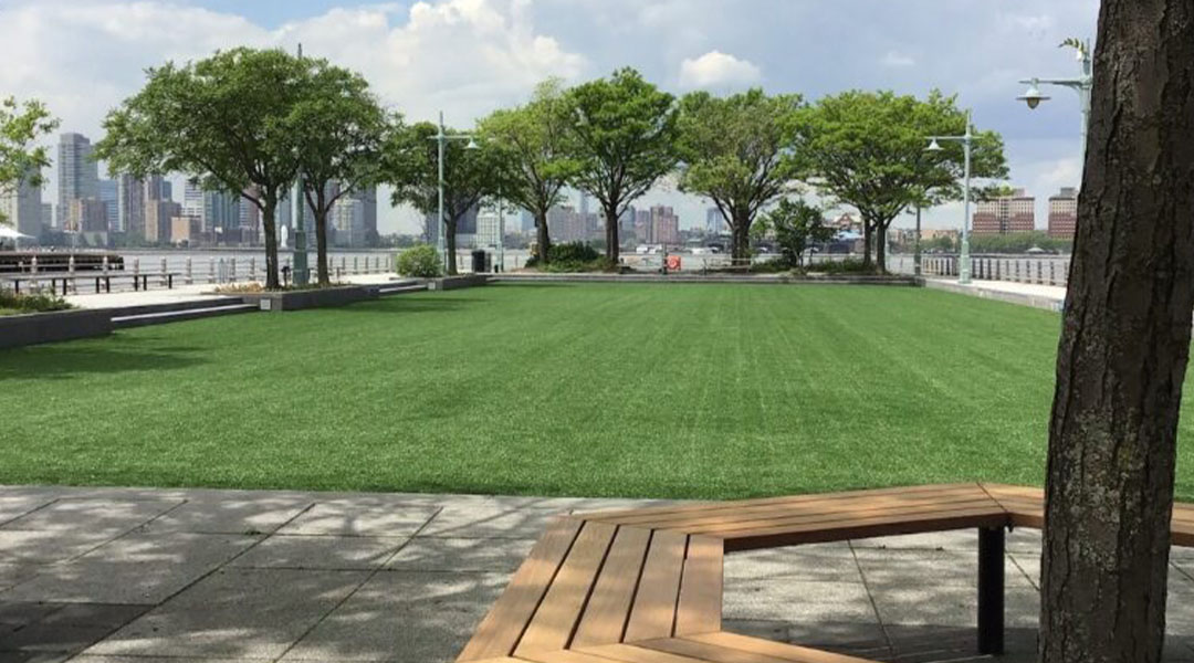 pier 46 lawn