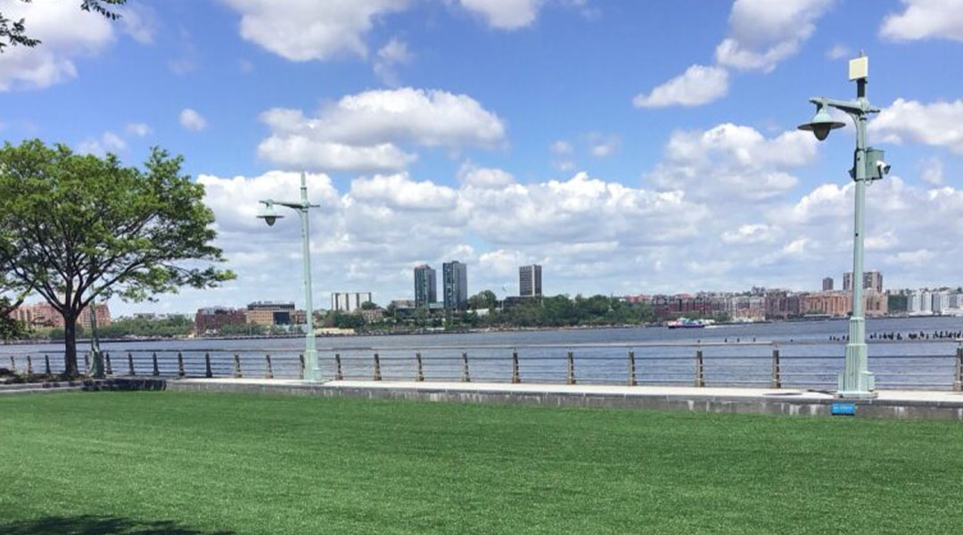 pier 46 lawn