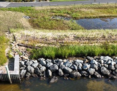 Comprehensive Stormwater & Flood Mitigation with Living Shoreline