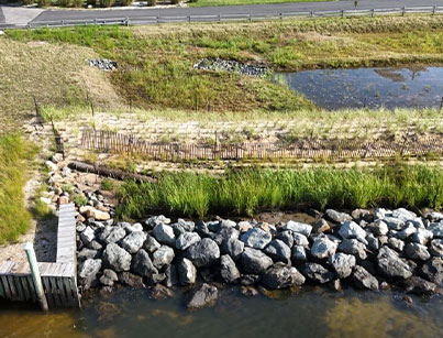 Comprehensive Stormwater & Flood Mitigation with Living Shoreline